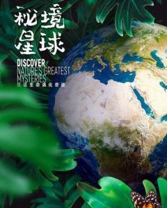 单身狗大作战