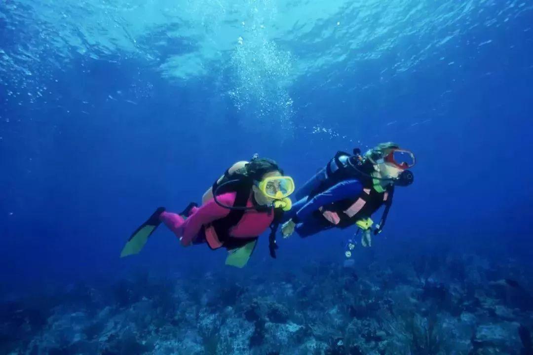 海岛纪元