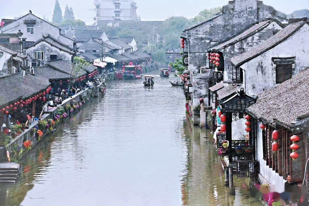 逃离椰子岛